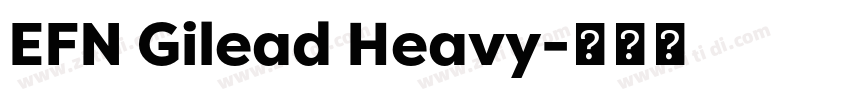 EFN Gilead Heavy字体转换